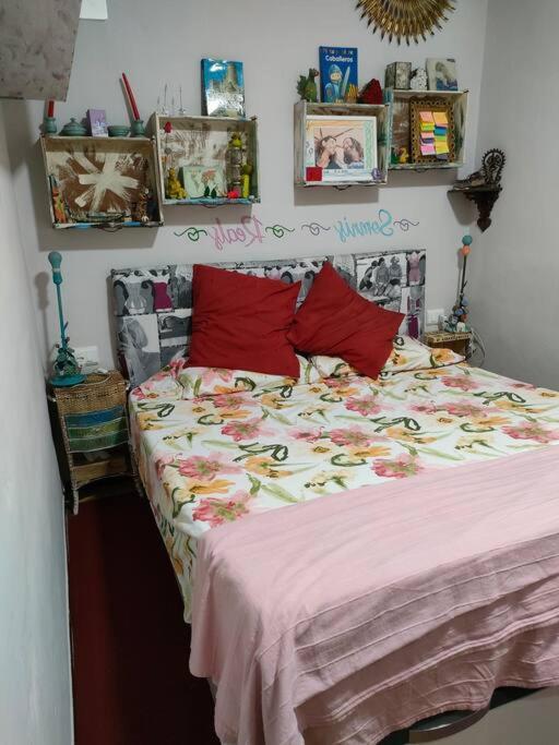 Apartament Volca Aiguanegra Sant Joan les Fonts Luaran gambar